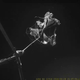 Illustration for article titled Dammit, NASA's Experimental Mars Parachute Just Failed. Again.